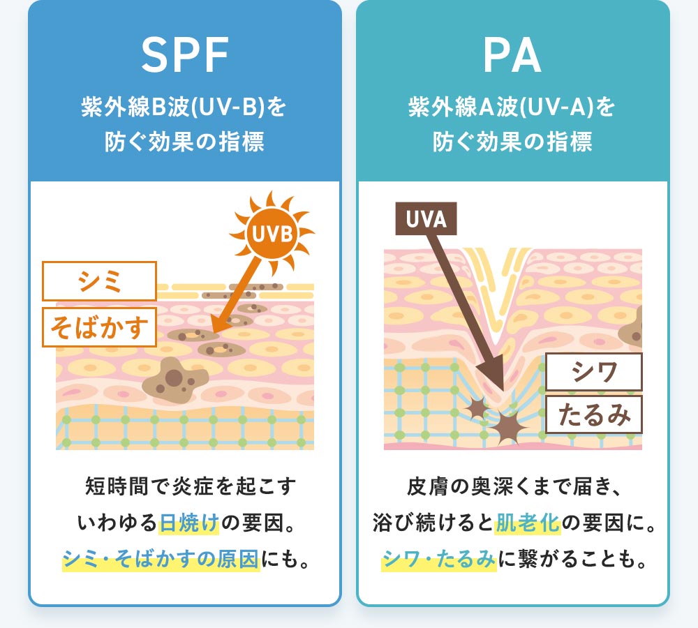 「SPF」…紫外線B波(UV-B)を防ぐ効果の指標。短時間で炎症を起こすいわゆる日焼けの要因。シミ・そばかすの原因にも。「PA」…紫外線A波(UV-A)を防ぐ効果の指標。皮膚の奥深くまで届き、浴び続けると肌老化の要因に。シワ・たるみに繋がることも。