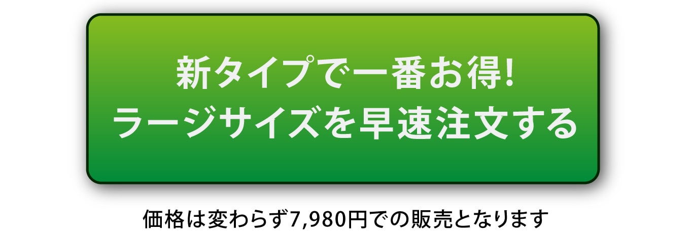 新タイプで一番お得!ラージサイズを早速注文する