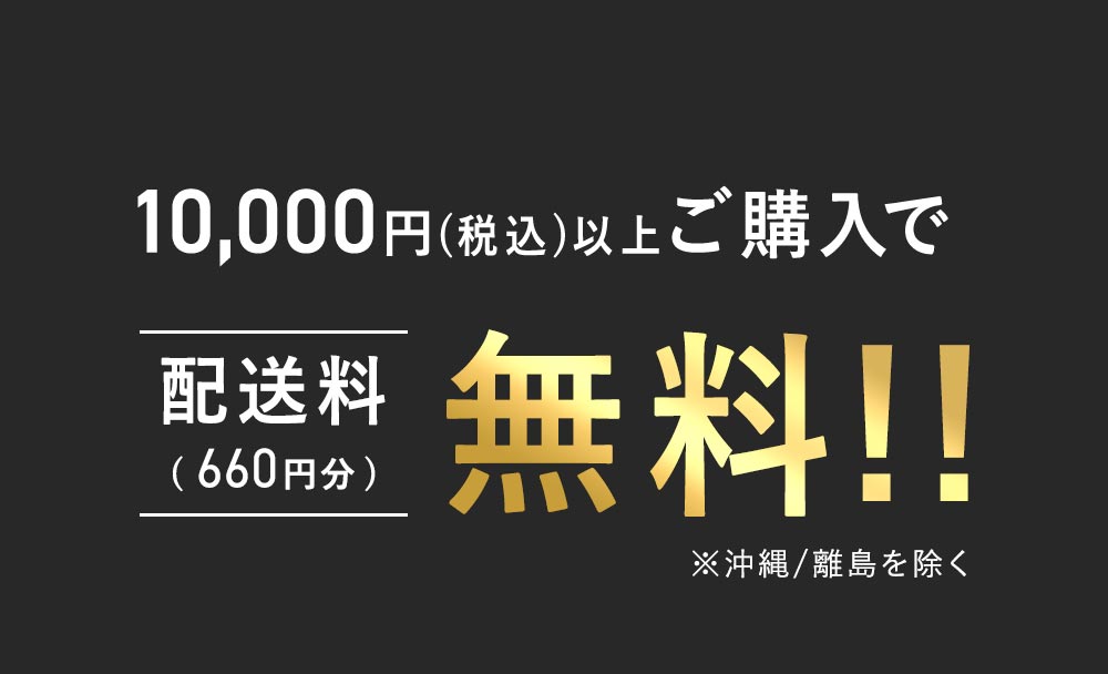 全品対象！10,000円(税込)以上で送料無料！※沖縄/離島を除く