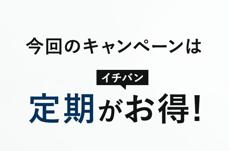 ZIGEN史上１番お得な大感謝祭開催!