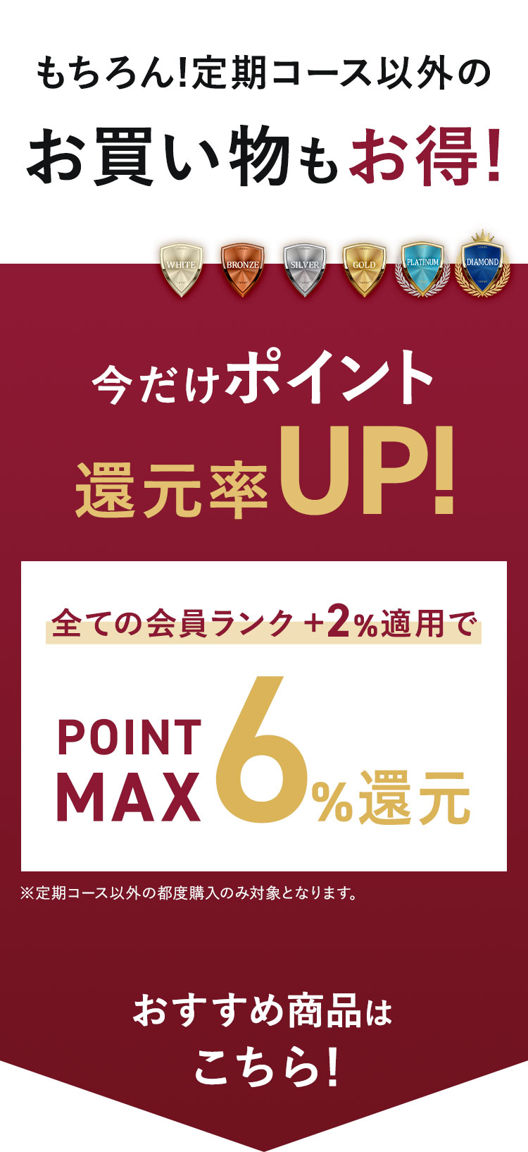 通常購入もお得!会員ランクポイント適用で今だけポイントUP