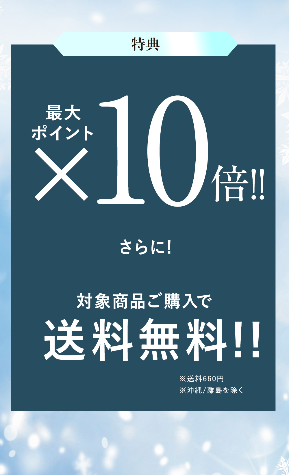 最大ポイント10倍＆送料無料