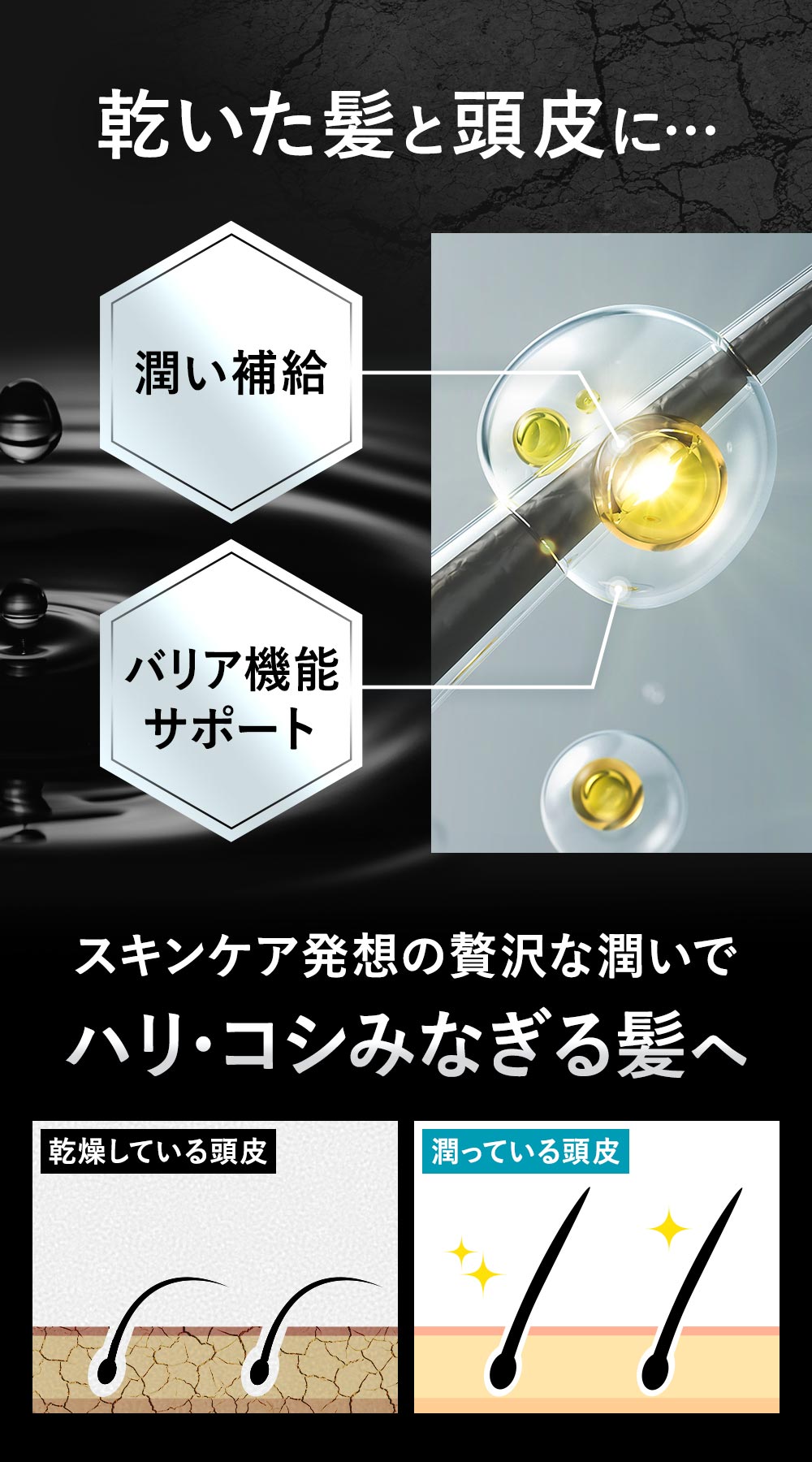 根本からボリュームアップ
