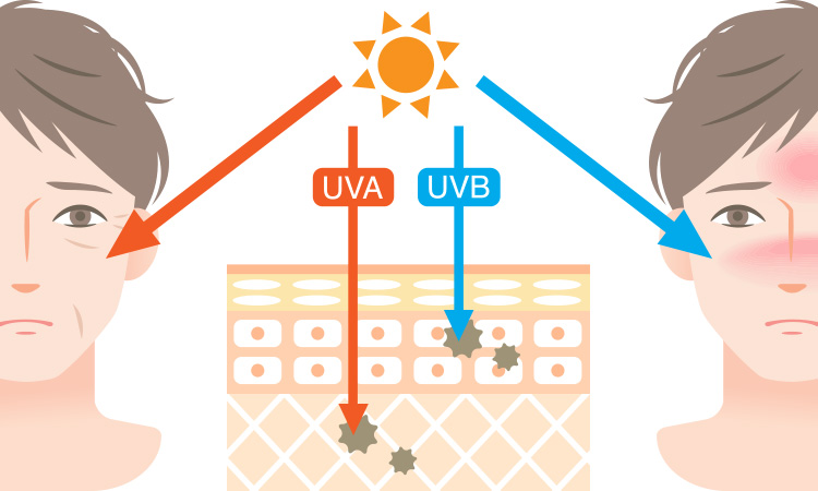 紫外線対策・UVケア、していますか？