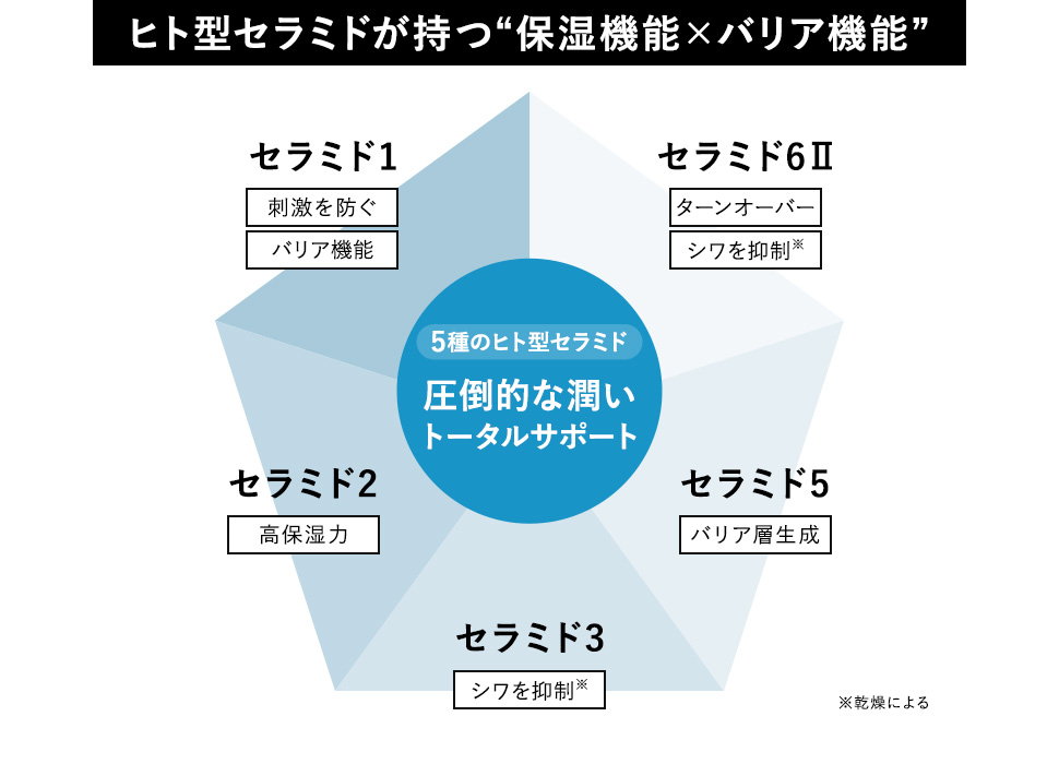 セラミドの機能