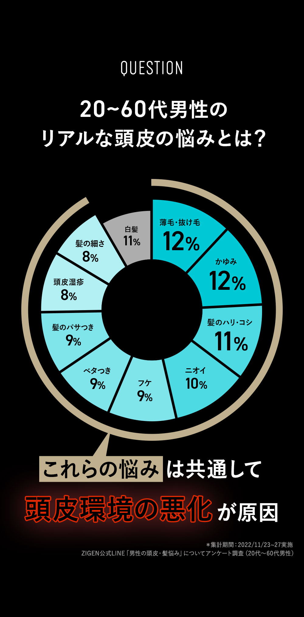 20代/30代/40代/50代/60代のリアルな頭皮悩みとは？薄毛/抜け毛 12%・かゆみ 12%・髪のハリコシ 11%・ニオイ(頭皮臭) 10%・フケ 9%・頭皮のベタつき 9%・髪のパサつき 9%