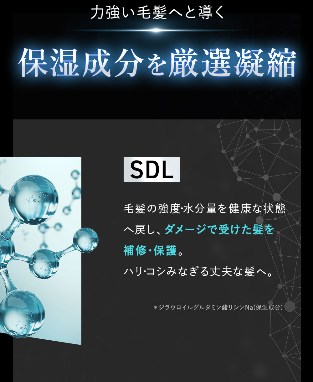 力強い毛髪へと導く保湿成分を厳選凝縮