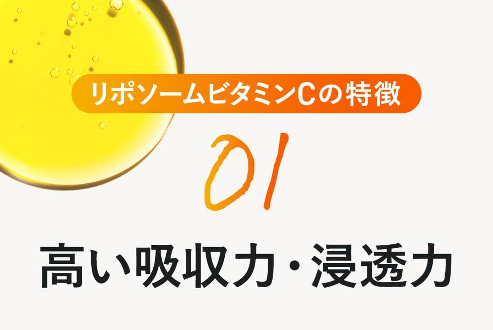 リポソームビタミンCの特徴1：高い吸収力と浸透力