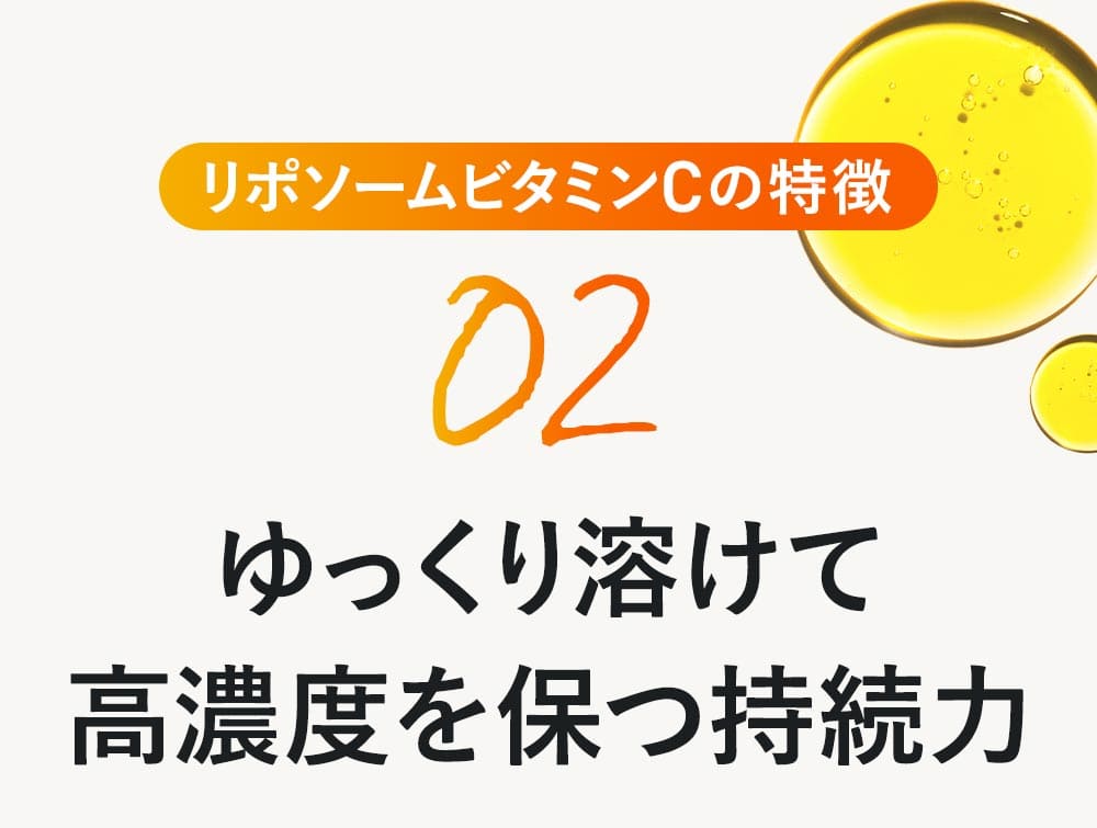 リポソームビタミンCの特徴2：ゆっくり溶けて高濃度を保つ持続力